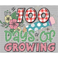 One hundred days-YD 371